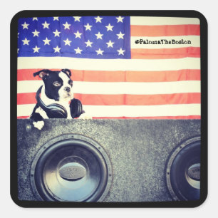 Amerikanische Flagge, Boston Terrier Aufkleber
