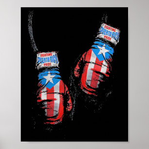 Amerikanische Flagge Boxen USA Handschuhe Gym Boxe Poster