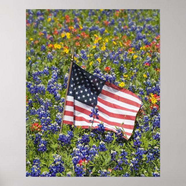 Amerikanische Flagge im Bereich der Blue Bonnets, Poster (Vorne)