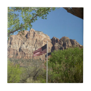 Amerikanische Flagge im Zion-Nationalpark II Fliese