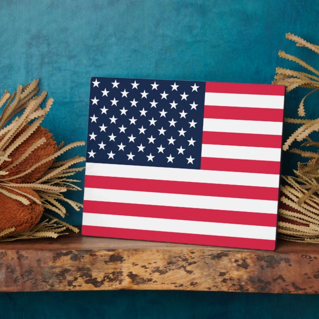 Amerikanische Flagge mit 50 Sternen: US Flagge mit Fotoplatte (Seite)
