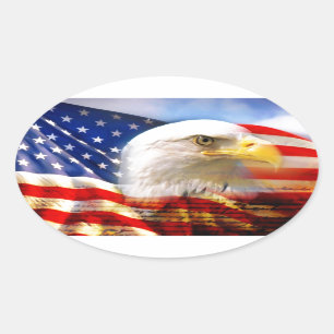 Amerikanische Flagge mit Weißkopfseeadler Ovaler Aufkleber