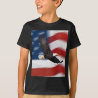 Amerikanische Flagge und Adler