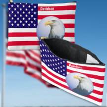 Amerikanische Flagge und Adler