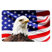Amerikanische Flagge und Bald-Adler