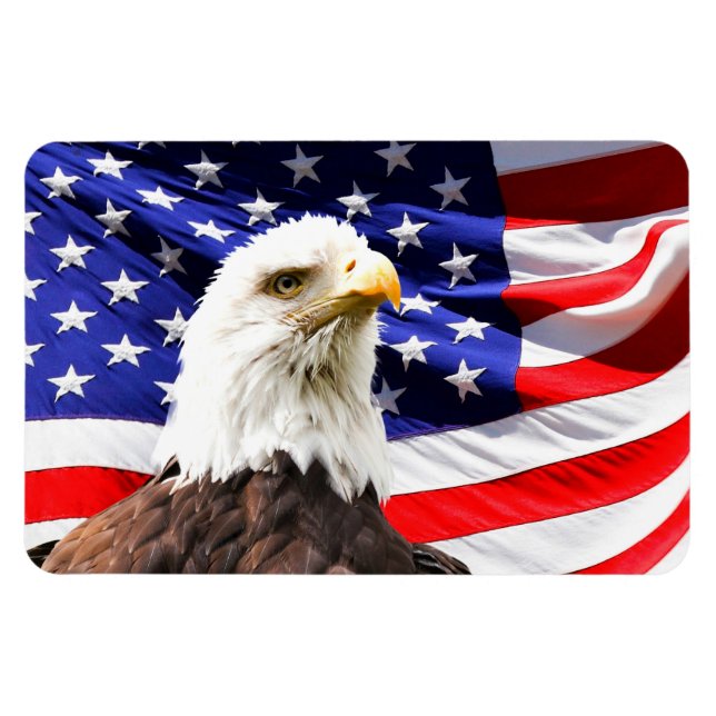 Amerikanische Flagge und Bald-Adler Magnet (Horizontal)