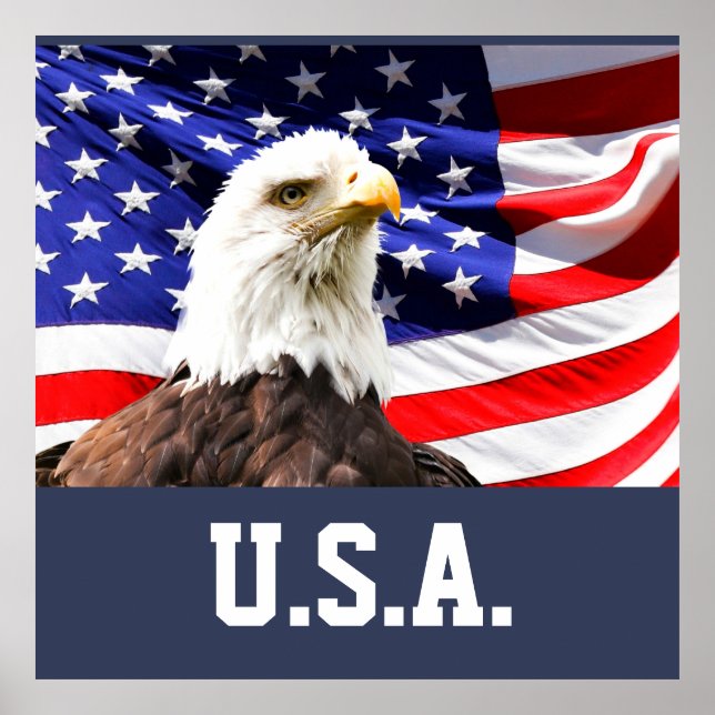 Amerikanische Flagge und Bald-Adler Poster (Vorne)