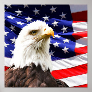 Amerikanische Flagge und Bald-Adler Poster