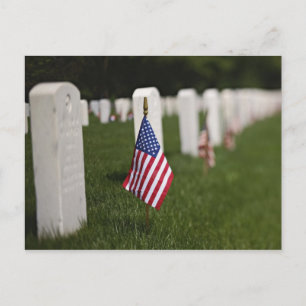 Amerikanische Flaggen auf den Gräbern amerikanisch Postkarte