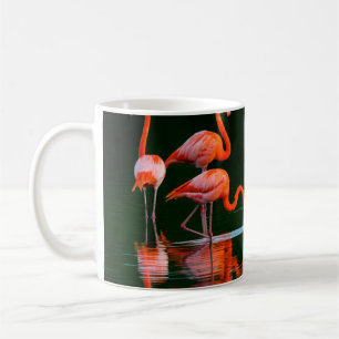 Amerikanische Flamingos mit Reflections Restand Fo Kaffeetasse