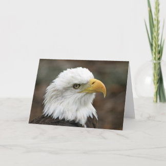 Amerikanische Gruß-Karte des Weißkopfseeadler-2 Karte