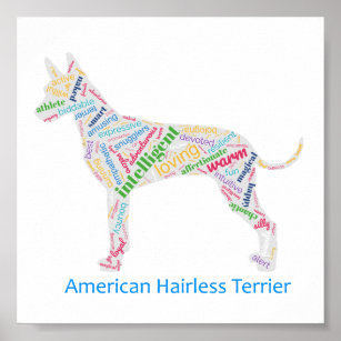 Amerikanische Haarlose Terrier Word Cloud Art Poster