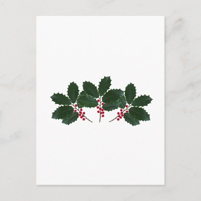 Amerikanische Holly-Blätter - Berries Postkarte (Vorderseite)