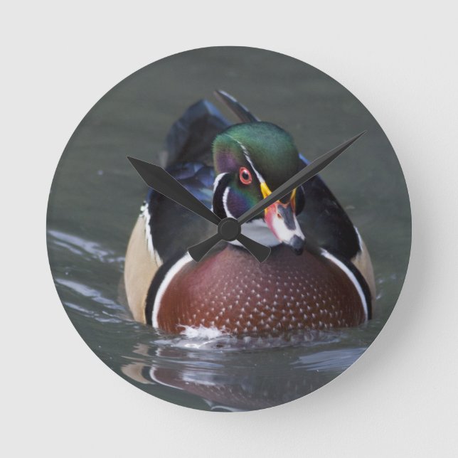 Amerikanische hölzerne Enten-Uhr Runde Wanduhr (Vorderseite)