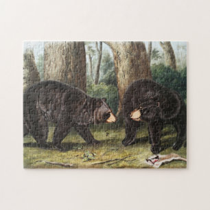 Amerikanische Illustration des schwarzen Bären Urs