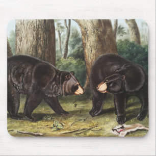 Amerikanische Illustration des schwarzen Bären Urs Mousepad