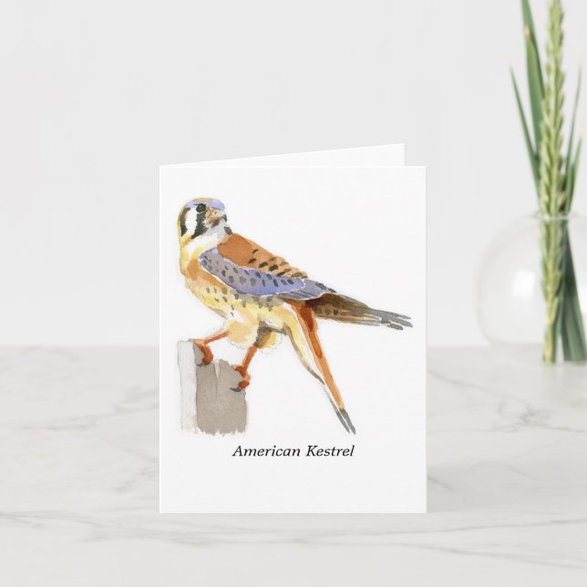 Amerikanische Kestrel-Anmerkungs-Karte Karte (Vorderseite)