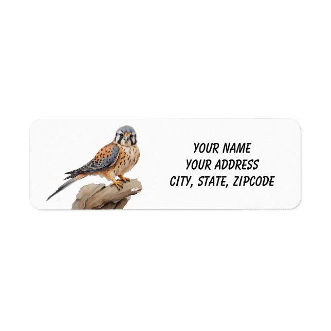 Amerikanische Kestrel auf Stein (Vorne)