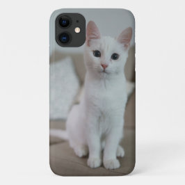 Amerikanische Kurzhaarkatze Case-Mate iPhone Hülle