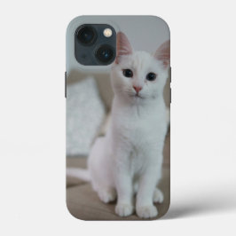 Amerikanische Kurzhaarkatze Case-Mate iPhone Hülle