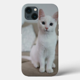 Amerikanische Kurzhaarkatze Case-Mate iPhone Hülle