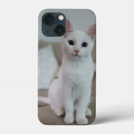 Amerikanische Kurzhaarkatze Case-Mate iPhone Hülle
