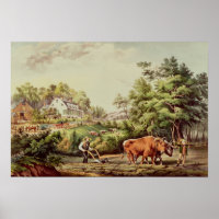Amerikanische Landschaftsbilder
