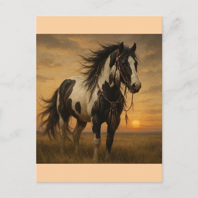 Amerikanische Paint Horse Postcard - Kangee Postkarte (Vorderseite)