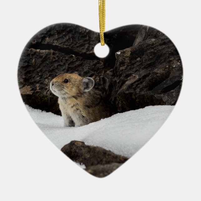 Amerikanische Pika im Schnee mit Herz-Shaped Keramik Ornament (Vorne)