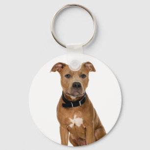 Amerikanische Pitbull Schlüsselanhänger