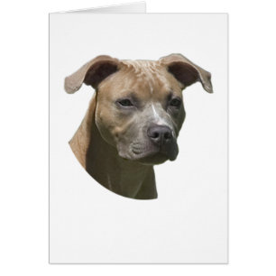 Amerikanische Pitbull-Terrier- (APBT)Karte