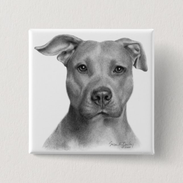 Amerikanische Pitbull Terrier Button (Vorderseite)