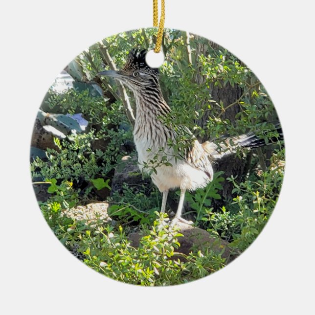 Amerikanische Roadrunner in der Wüste von Arizona Keramik Ornament (Vorne)