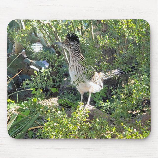 Amerikanische Roadrunner in der Wüste von Arizona Mousepad (Vorne)