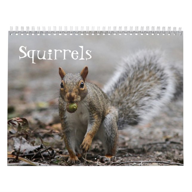 Amerikanische rote Eichhörnchen und Kalender (Titelbild)