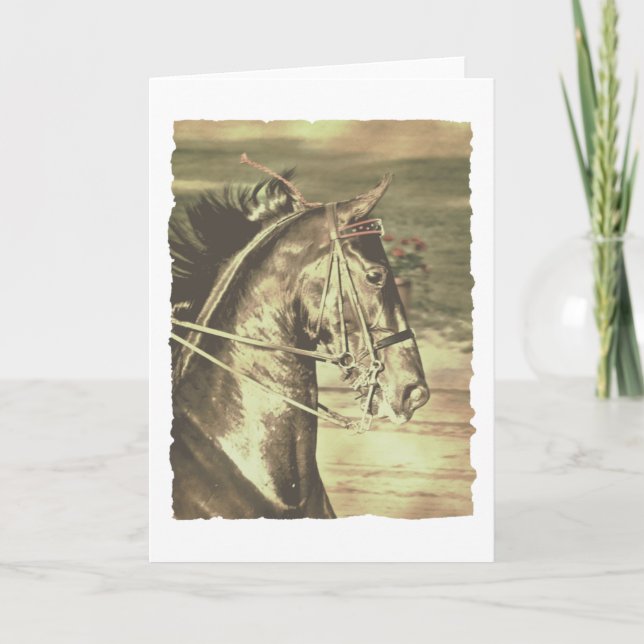 Amerikanische Saddlebred-Imitate Vintag Karte (Vorderseite)