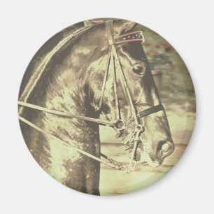 Amerikanische Saddlebred-Imitate Vintag Magnet