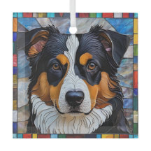 Amerikanische Schäferhunde "gesteinigtes Glas"