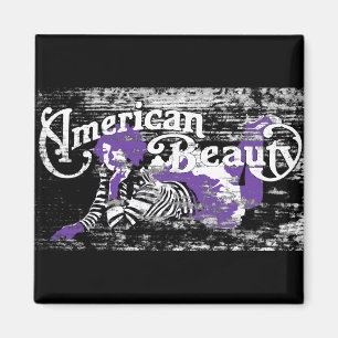 amerikanische Schönheit Magnet