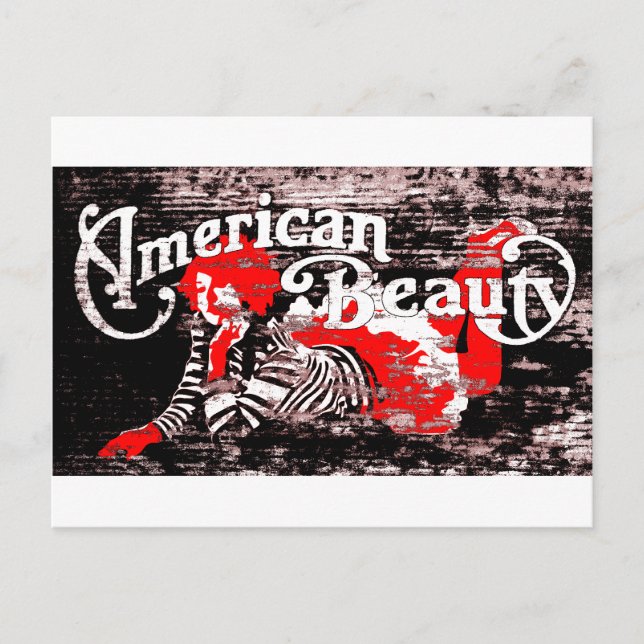amerikanische Schönheit Postkarte (Vorderseite)