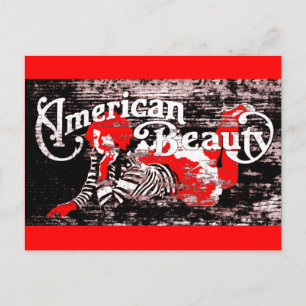 amerikanische Schönheit Postkarte