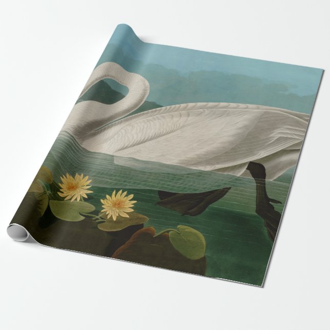Amerikanische Schwanenvögel Audubon Geschenkpapier (Ungerollt)