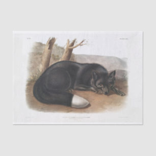 Amerikanische Schwarz-Silber-Fox-Decoupage Seidenpapier