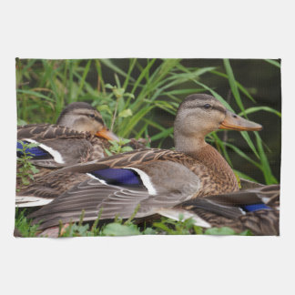 Amerikanische schwarze Enten-Geschirrtücher Geschirrtuch