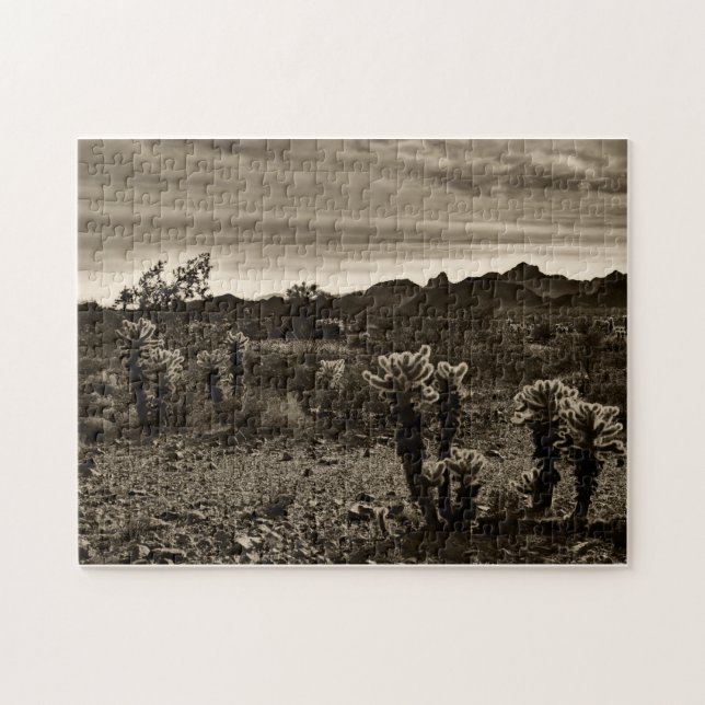 Amerikanische Südwestlandschaft (Horizontal)