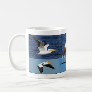 Amerikanische Tasse der Weißen Pelikane