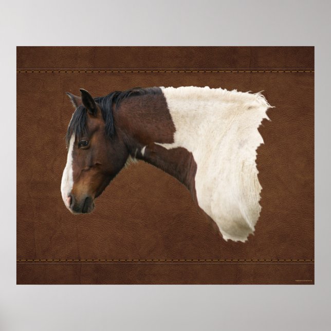 Amerikanische Ureinwohner Pony Pony Liebhaber Prin Poster (Vorne)