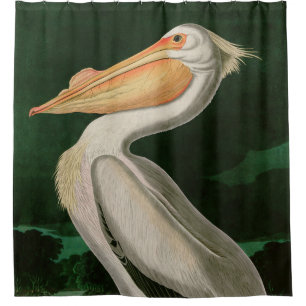 Amerikanische Vögel des Weißen Pelikans Duschvorhang