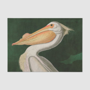 Amerikanische Vögel des Weißen Pelikans Seidenpapier