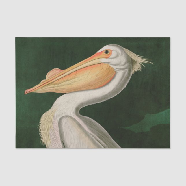 Amerikanische Vögel des Weißen Pelikans Seidenpapier (Vorderseite)